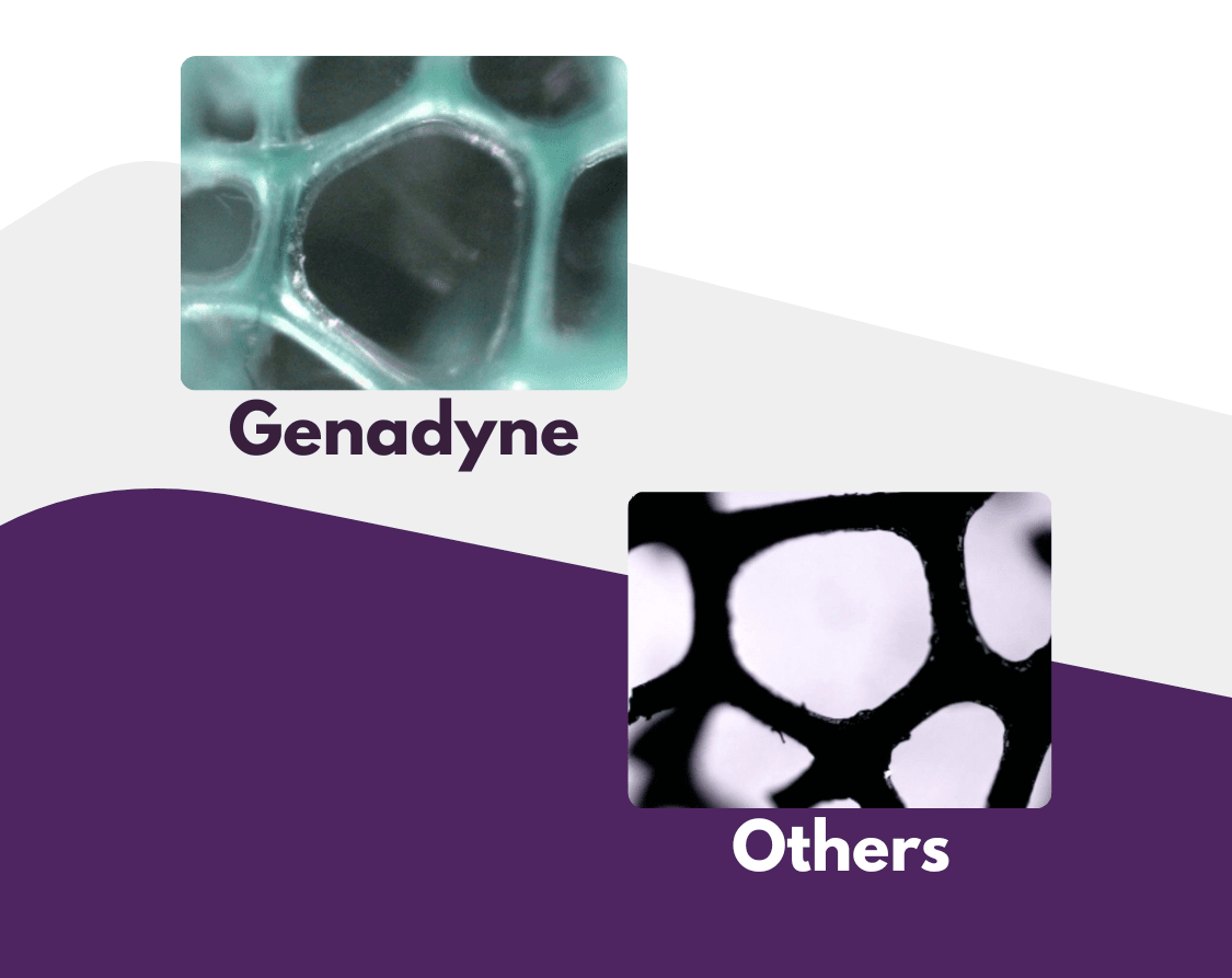 A Closer Look: Foam Structure Comparison