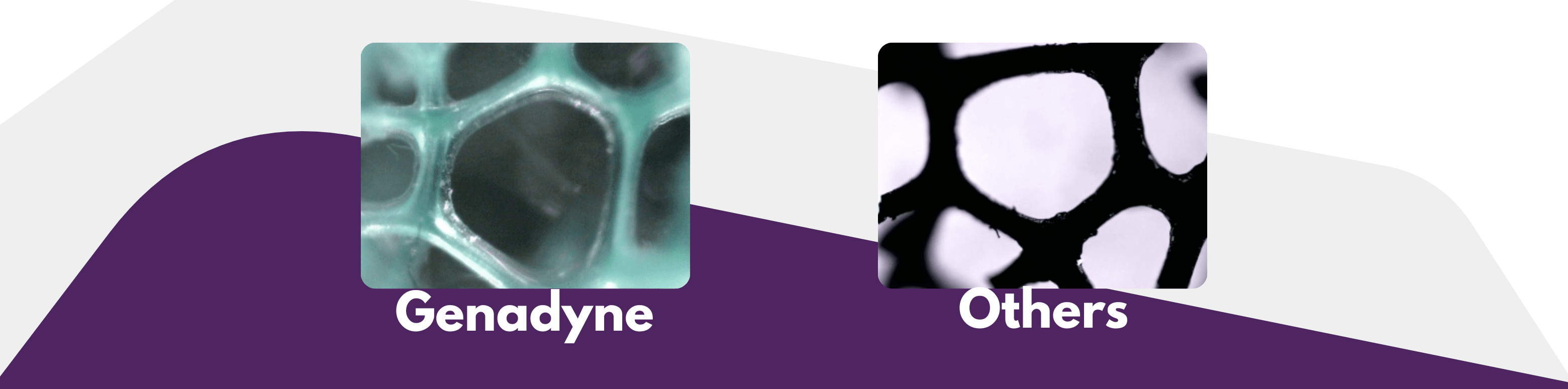 A Closer Look: Foam Structure Comparison