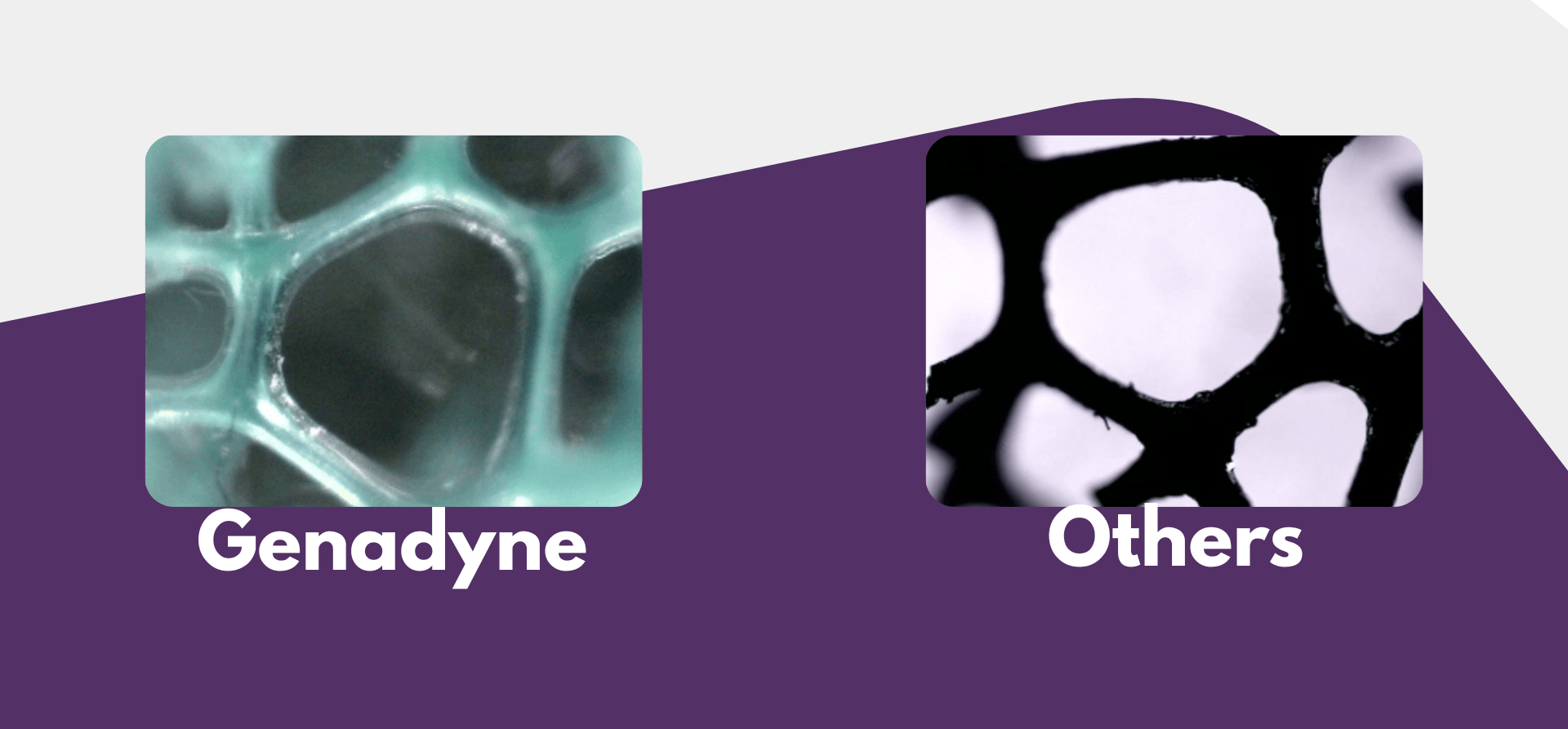 A Closer Look: Foam Structure Comparison