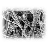 Nanogen Fibers.png